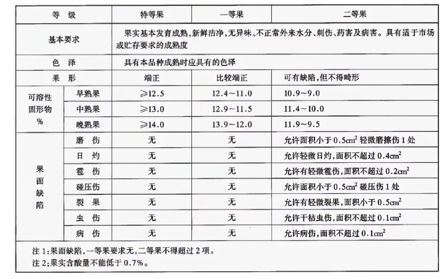 李子冷庫(kù)建造完成后如何用于儲(chǔ)存的？這些你都知道嗎