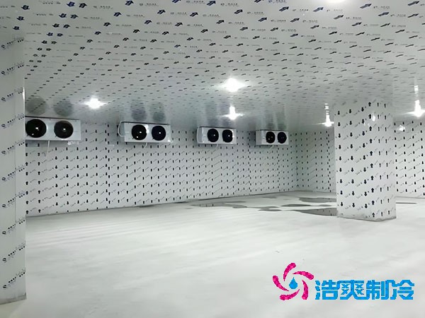 建一個生姜冷庫造價造價大概多少錢？-浩爽制冷