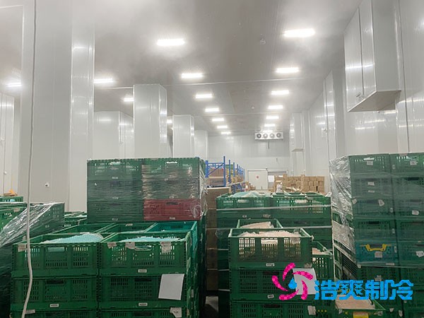 夏季蔬菜保鮮難？500噸冷庫建造價格揭秘！