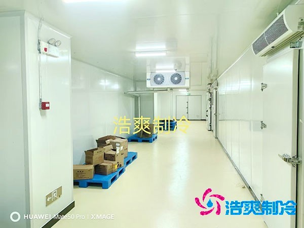 荔枝冷庫安裝價(jià)格多少錢一平方米？荔枝冷庫可以放多久-浩爽制冷