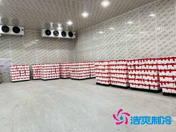 芭樂果保鮮冷庫(kù)安裝造價(jià)多少錢？芭樂果在冷庫(kù)能放多久？-浩爽制冷
