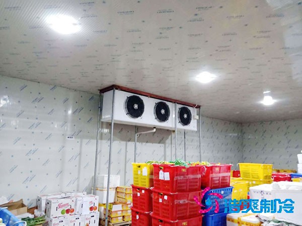 建一個蔬菜冷庫造價需要多少錢？-浩爽制冷